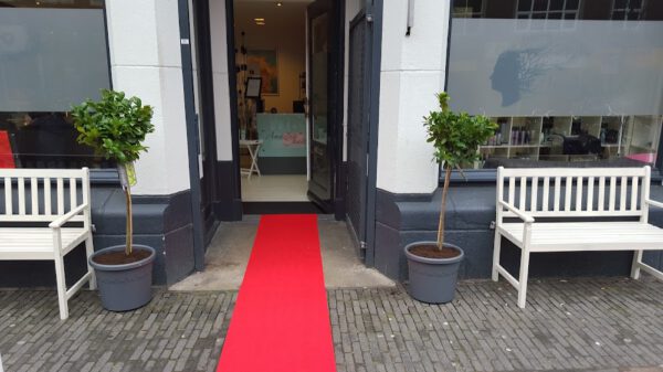 Kapsalon foto van Amazing hairstyle