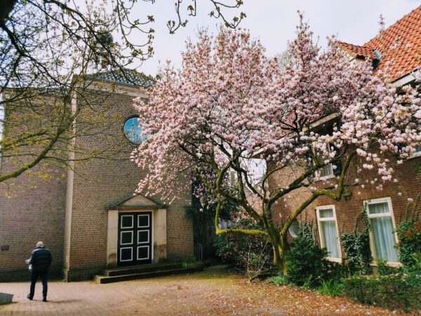 Kapsalon foto van BrainWash kappers