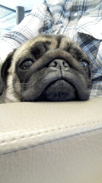 Kapsalon foto van EnvyStylers