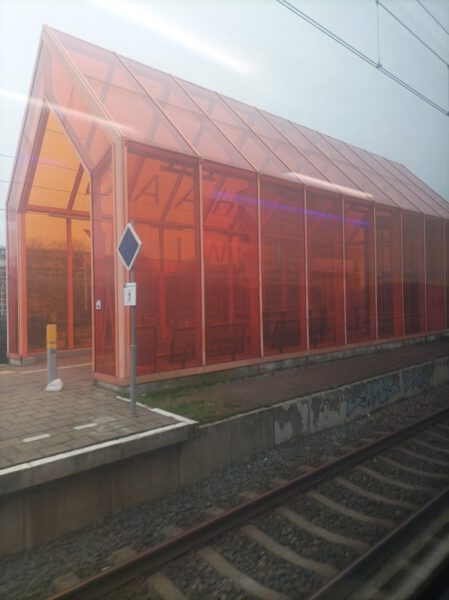 Kapsalon foto van Hair Palace