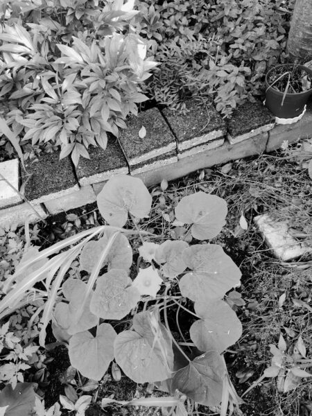 Kapsalon foto van Hamida Hairstyling