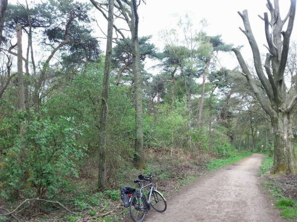 Kapsalon foto van Jets-deuitenthuiskapster