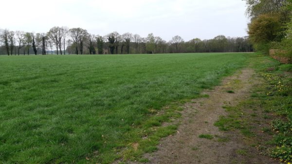 Kapsalon foto van Pediestheticare