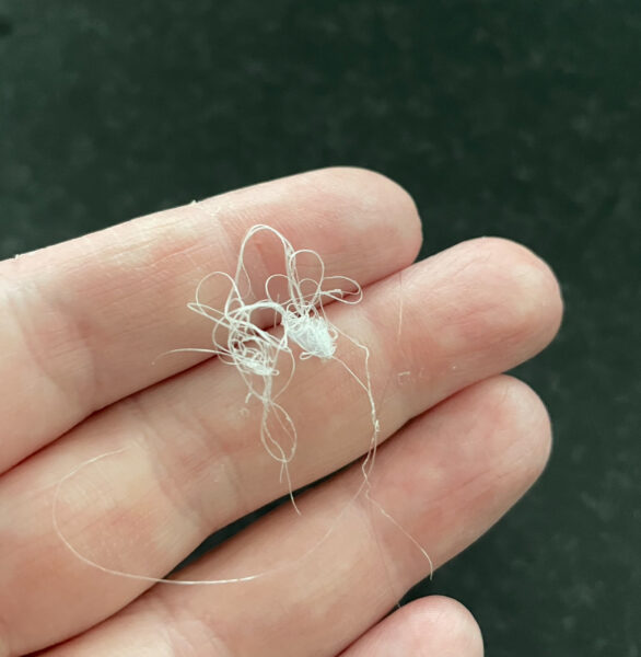 Kapsalon foto van Pico Bello Haarmode