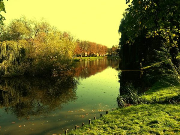 Kapsalon foto van Salon Pour l’Homme et l’Enfant