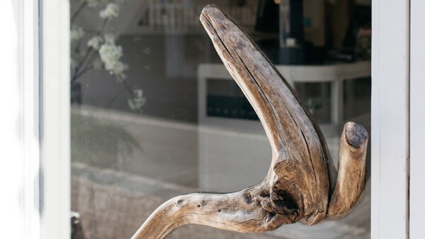 Kapsalon foto van Zizzorz