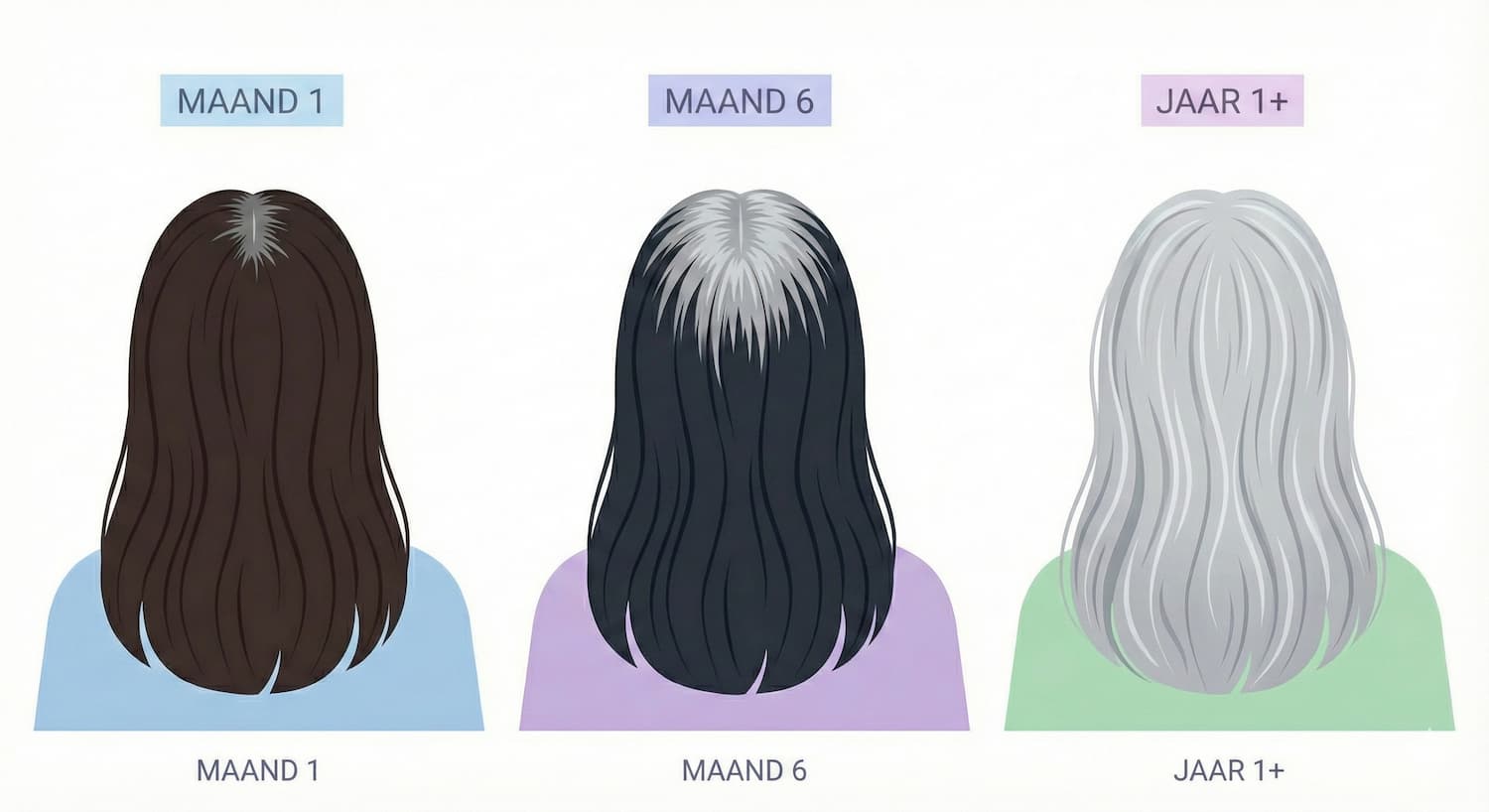 Een vectorillustratie die de transitie naar natuurlijk grijs haar toont in drie fases, gezien vanaf de achterkant. Links staat 'Maand 1' met donker haar en lichte uitgroei. In het midden toont 'Maand 6' een duidelijkere grijze haaraanzet. Rechts toont 'Jaar 1+' een volledig getransformeerd, zilver-grijs kapsel. De achtergrond is wit met zachte pastelkleuren.